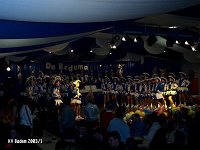 Badem Karneval 2003 042