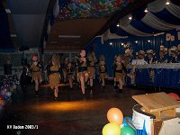 Badem Karneval 2003 047