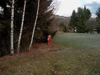 IM004876