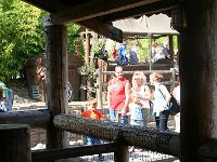IMG 0655