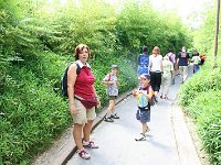 IMG 0663