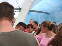 IMG 0669