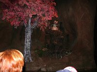 IMG 0677