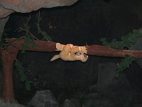 IMG 0678