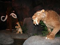 IMG 0679