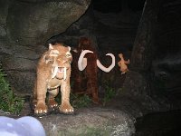 IMG 0680