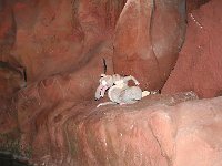 IMG 0682