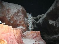 IMG 0683