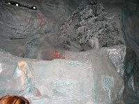 IMG 0685