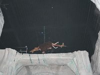 IMG 0687