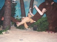 IMG 0688