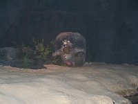 IMG 0689