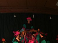 IMG 5287