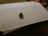 IMG 5588