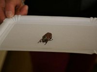 IMG 5589