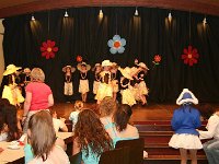 IMG 5681