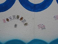 IMG 3823