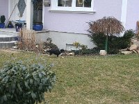 IMG 3837