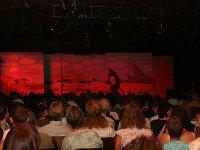 IMG 4626