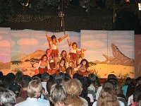 IMG 4649