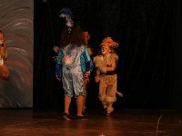 IMG 4667