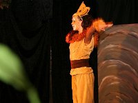 IMG 4729