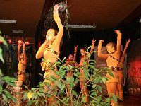 IMG 4731