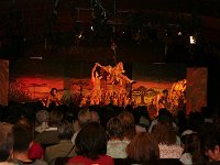 IMG 4766