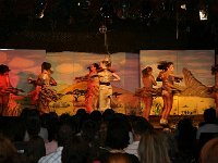 IMG 4782