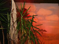IMG 4784