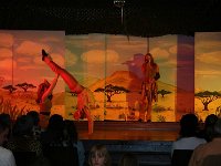 IMG 4800