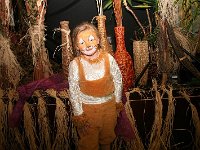 IMG 4811