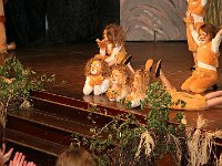 IMG 3799