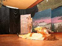 IMG 3895
