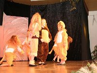 IMG 3926