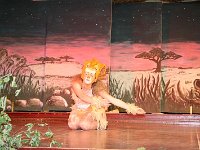 IMG 4009