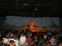IMG 4026