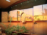 IMG 4098