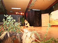 IMG 4099