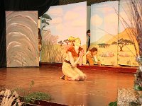 IMG 4101