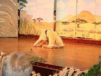 IMG 4102