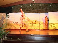 IMG 4118
