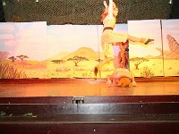 IMG 4123