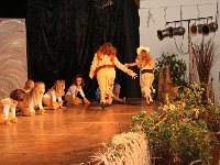 IMG 4203