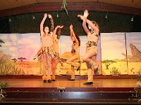 IMG 4224