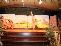 IMG 4225