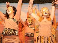 IMG 4231