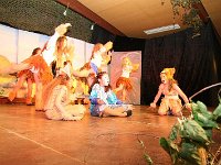 IMG 4241