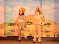 IMG 4249