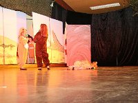 IMG 4291